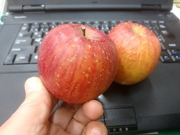 ①リンゴ.jpgのサムネール画像