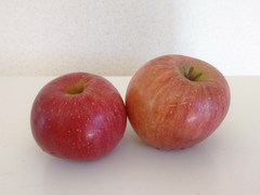 ⑤-1家リンゴ.jpg