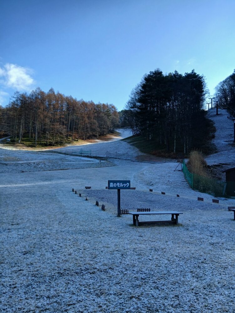 寒くなってきました！