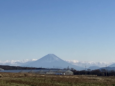 旬を逃した投稿でスイマセン…