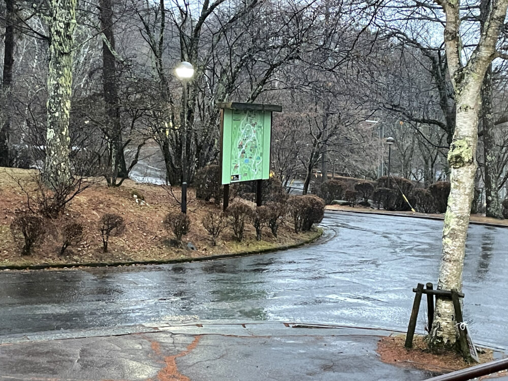 今日は雨の日でした