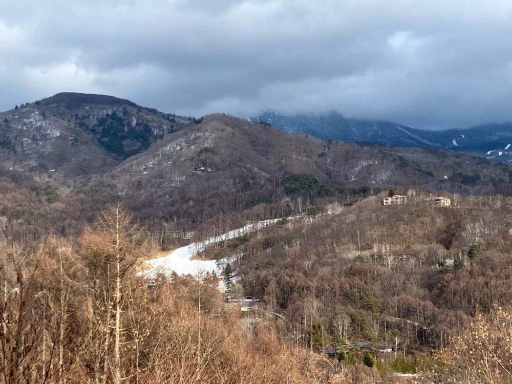 お正月休みも終わり…