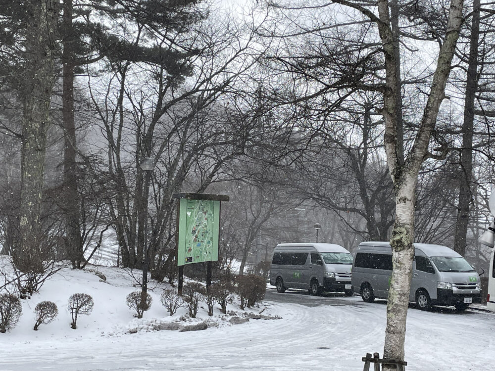 今日も雪が降ってきました。