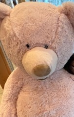 今年も宜しくお願いします。