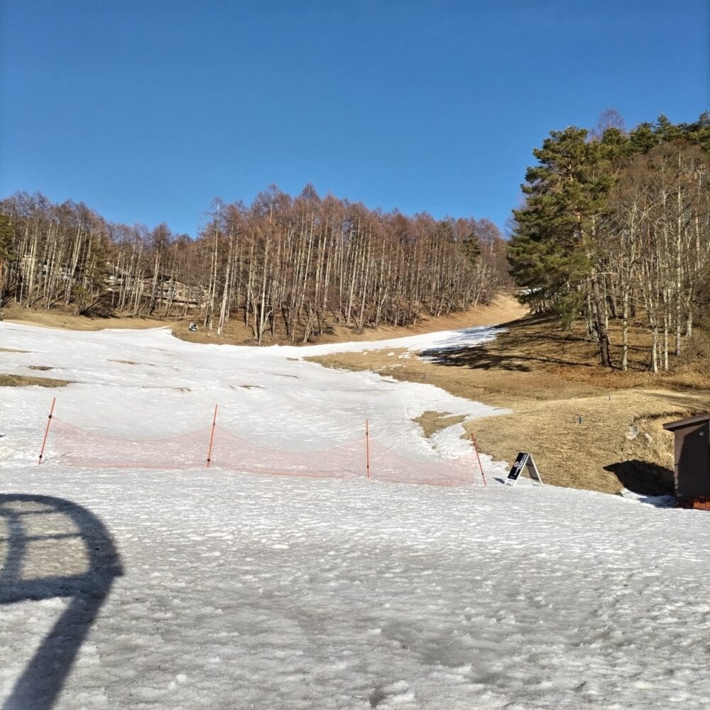 今日は暖かい日でした