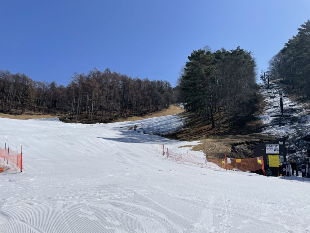 今日も暖かくなりました