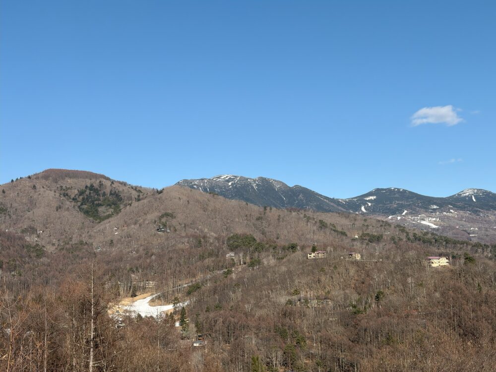 春のような…でも