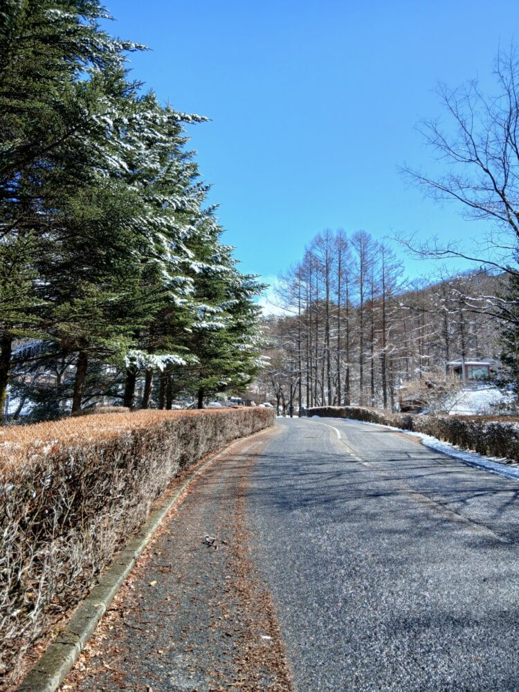 雪は解けているけれど。。。