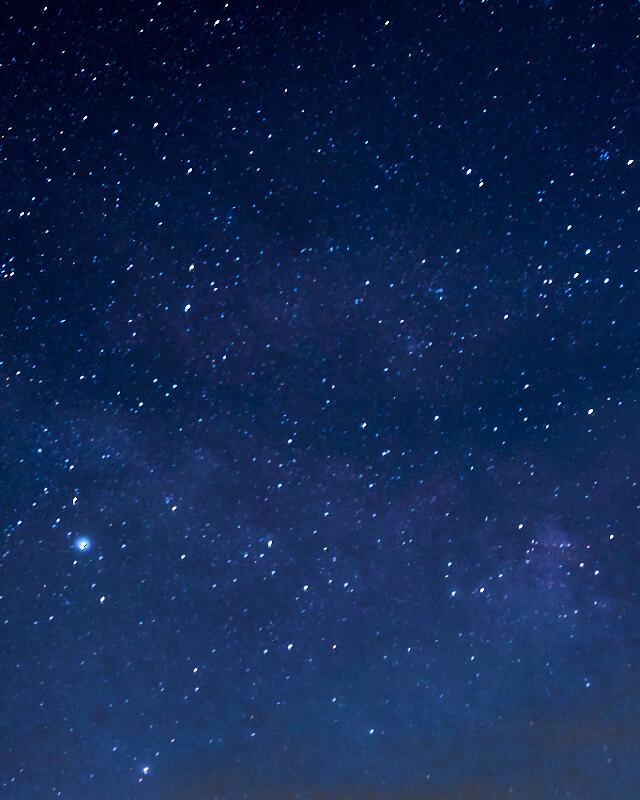 真っ暗な森で見上げる、透き通った星空