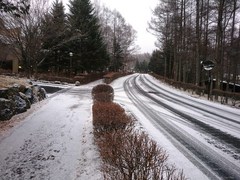 天気予報どおり雪になりました・・・？この雪の足跡なぁに？