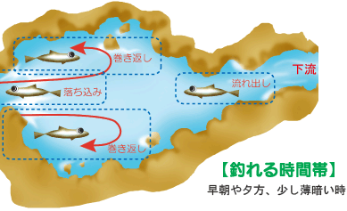 釣り方のコツ