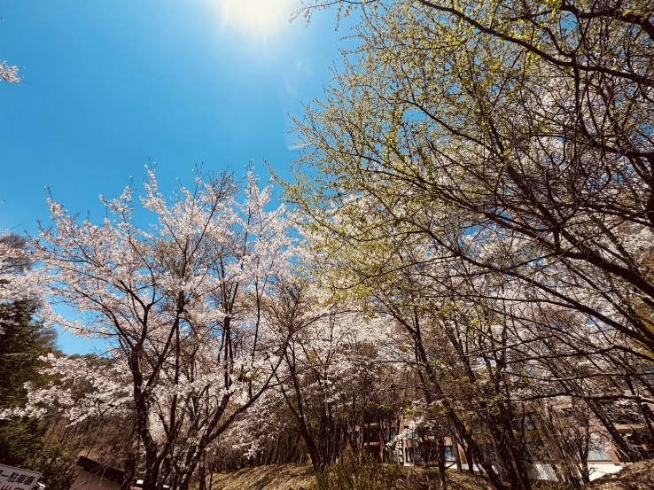 4月最終日（ゴールデンウィーク前半終了）