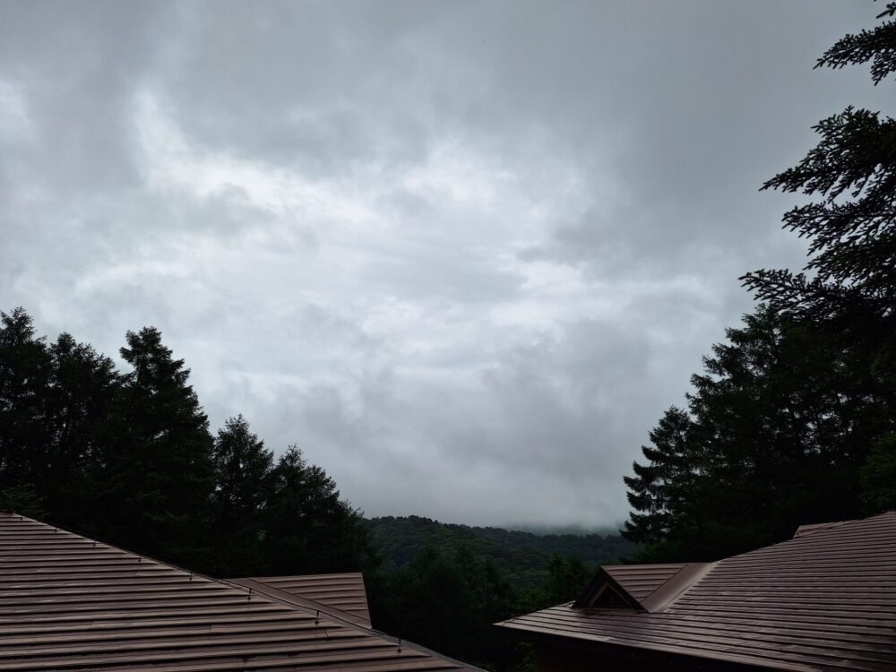 やっと梅雨らしくなりました。