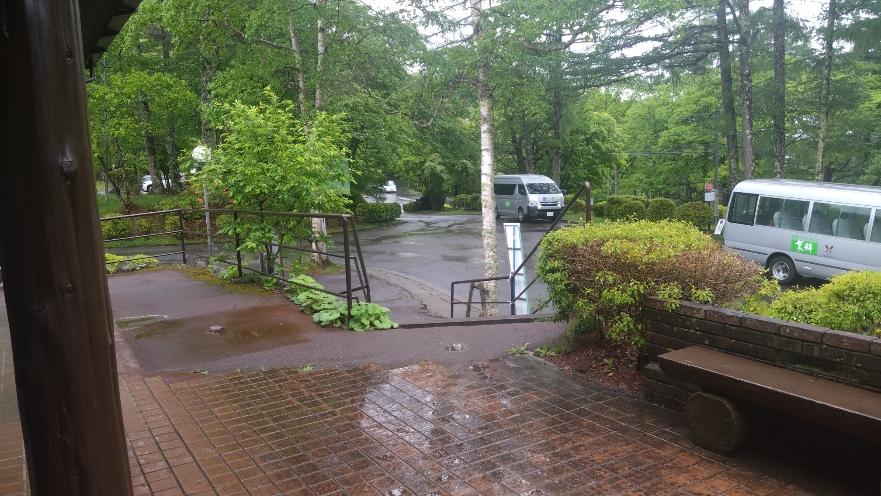 雨の1日でした。