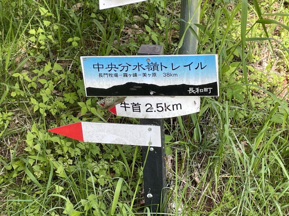 霧ヶ峰分水嶺トレイルAコース：長門牧場～女神湖に行って来ました