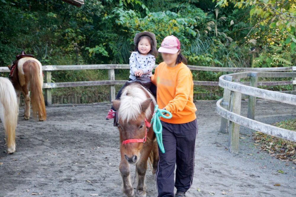 Touching Zoo