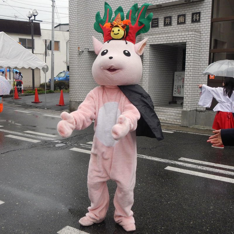 富士見町の真っ赤なルバーブ
