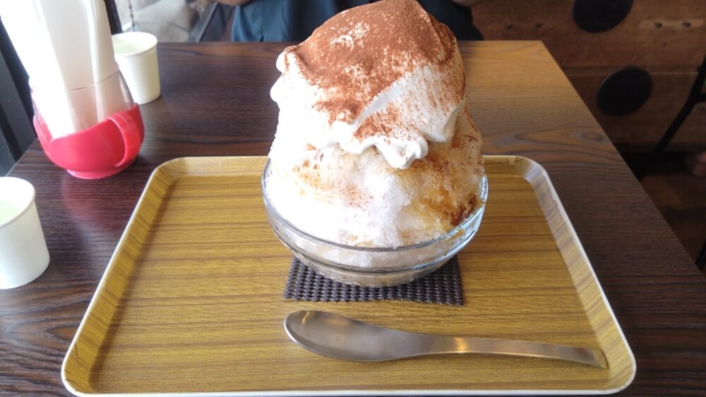 今日の蓼科！