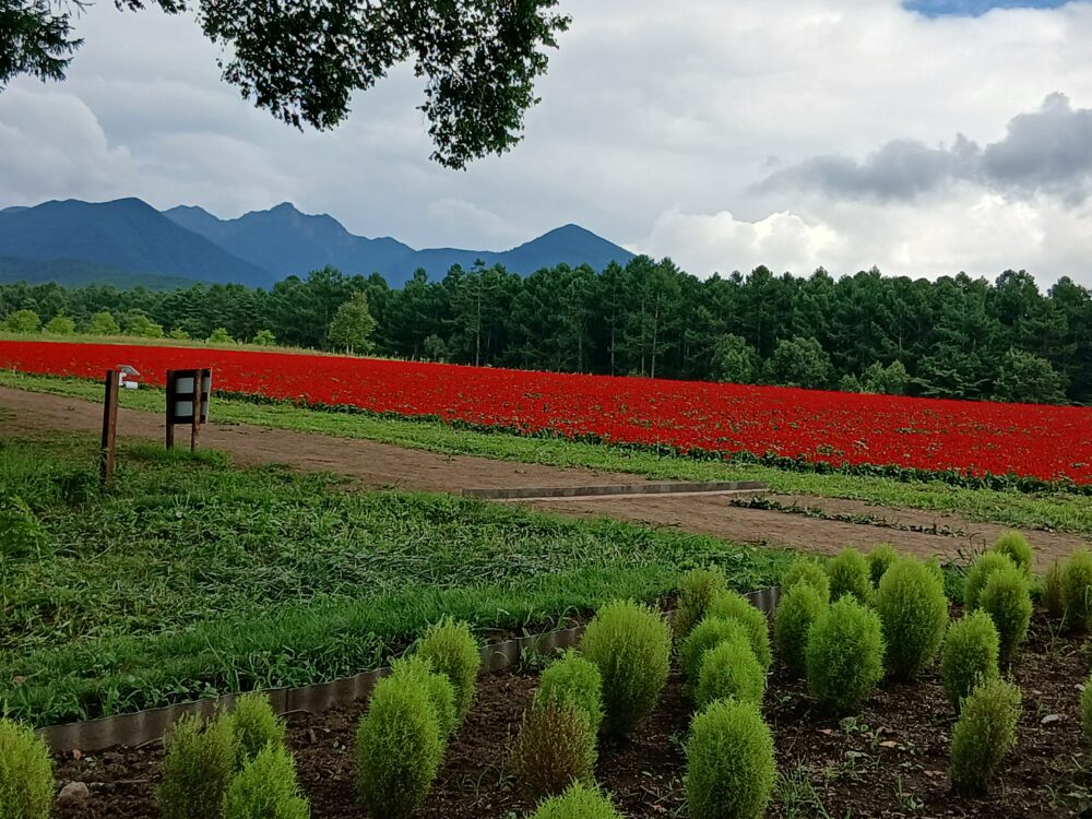 八ヶ岳ガーデンプロジェクト（八ヶ岳農業大学校）