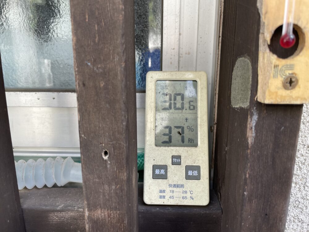 蓼科もまだまだ残暑です
