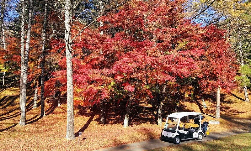 今日はちょっと暖かい