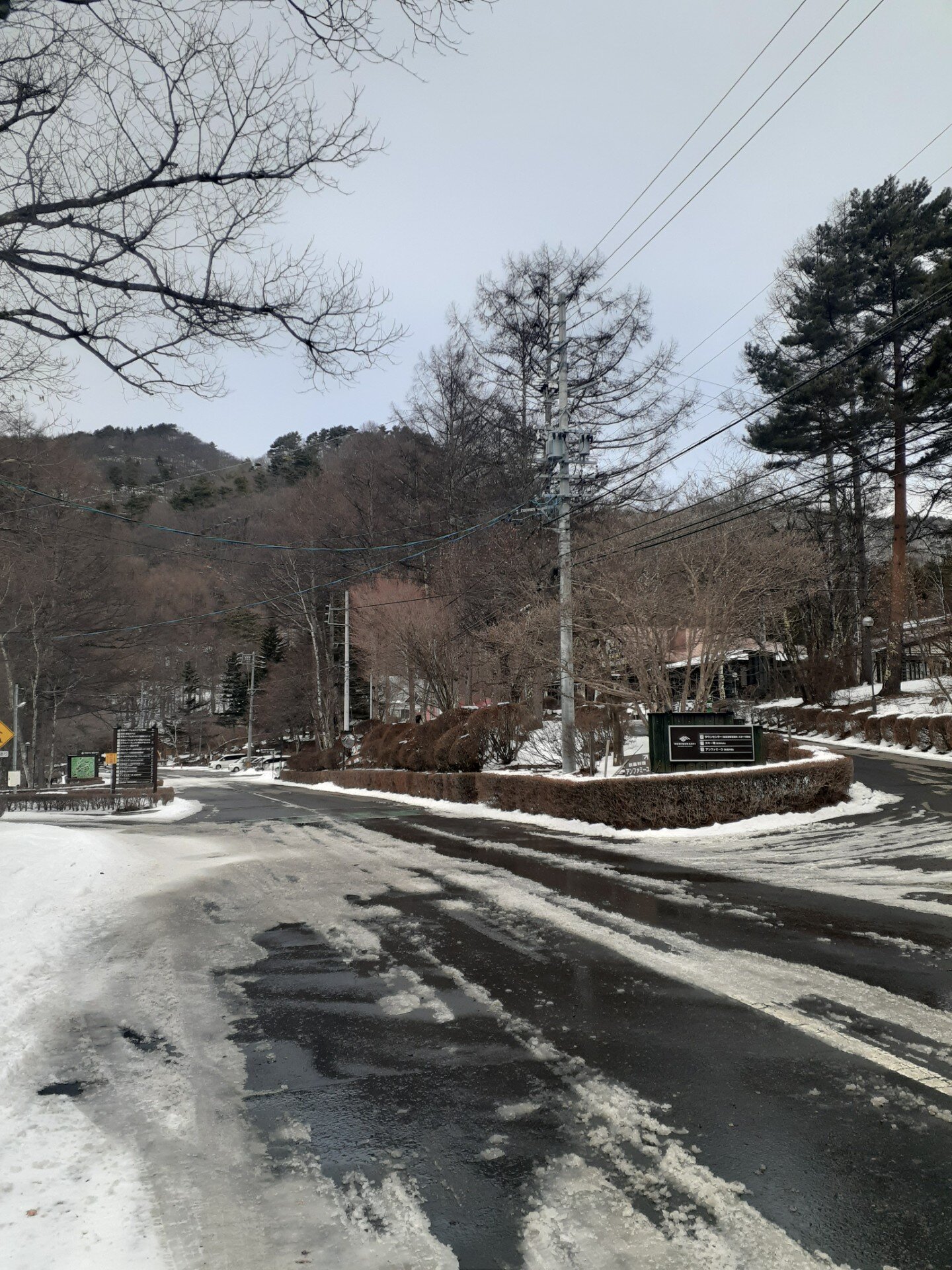 寒いので。。。