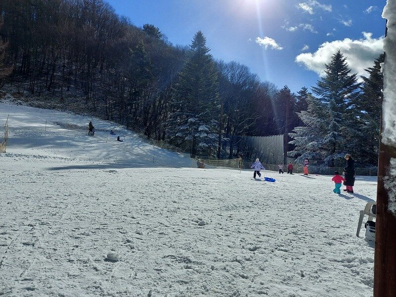 20231223_121055.jpg