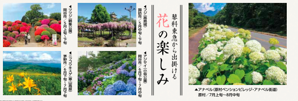 花の楽しみ.png