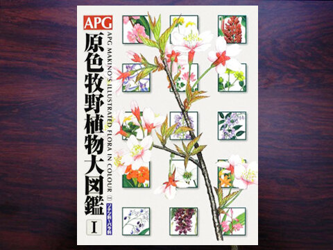 6.APG原色牧野植物大図鑑Ⅰ箱.jpg