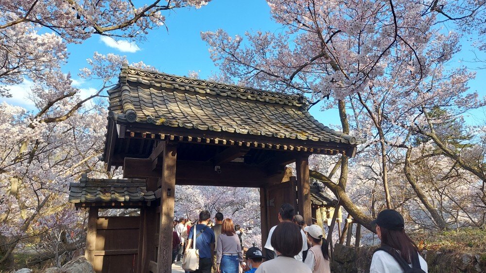 春だね