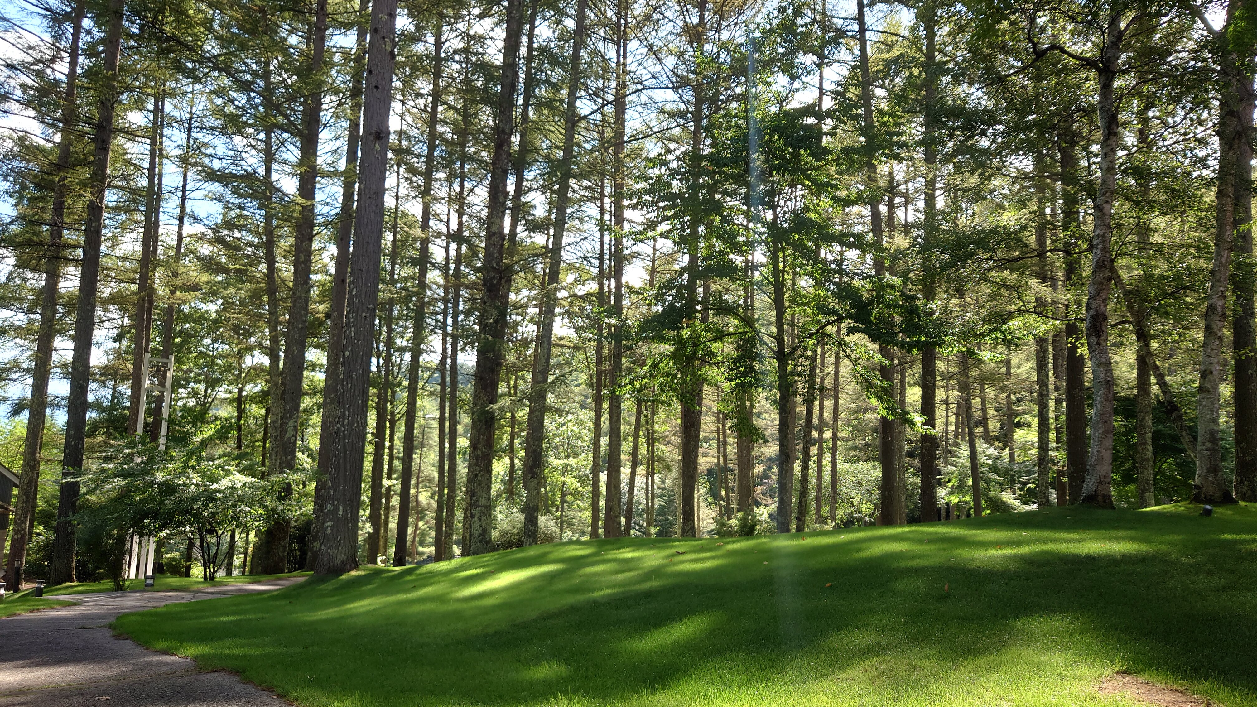 DSC_3263.JPG