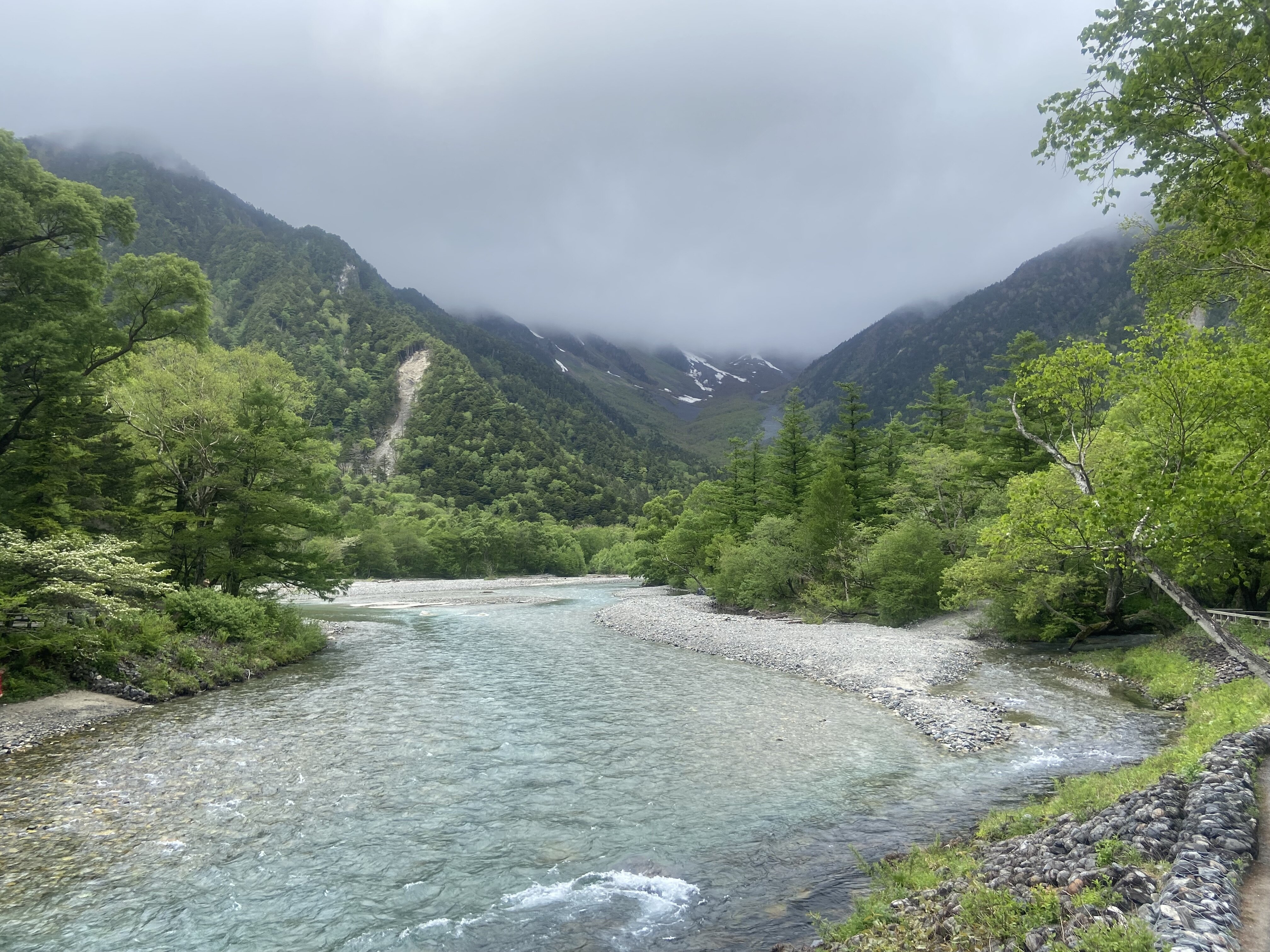 IMG_4519.jpg