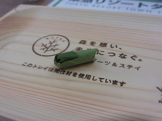 オトシブミとサクラソウ