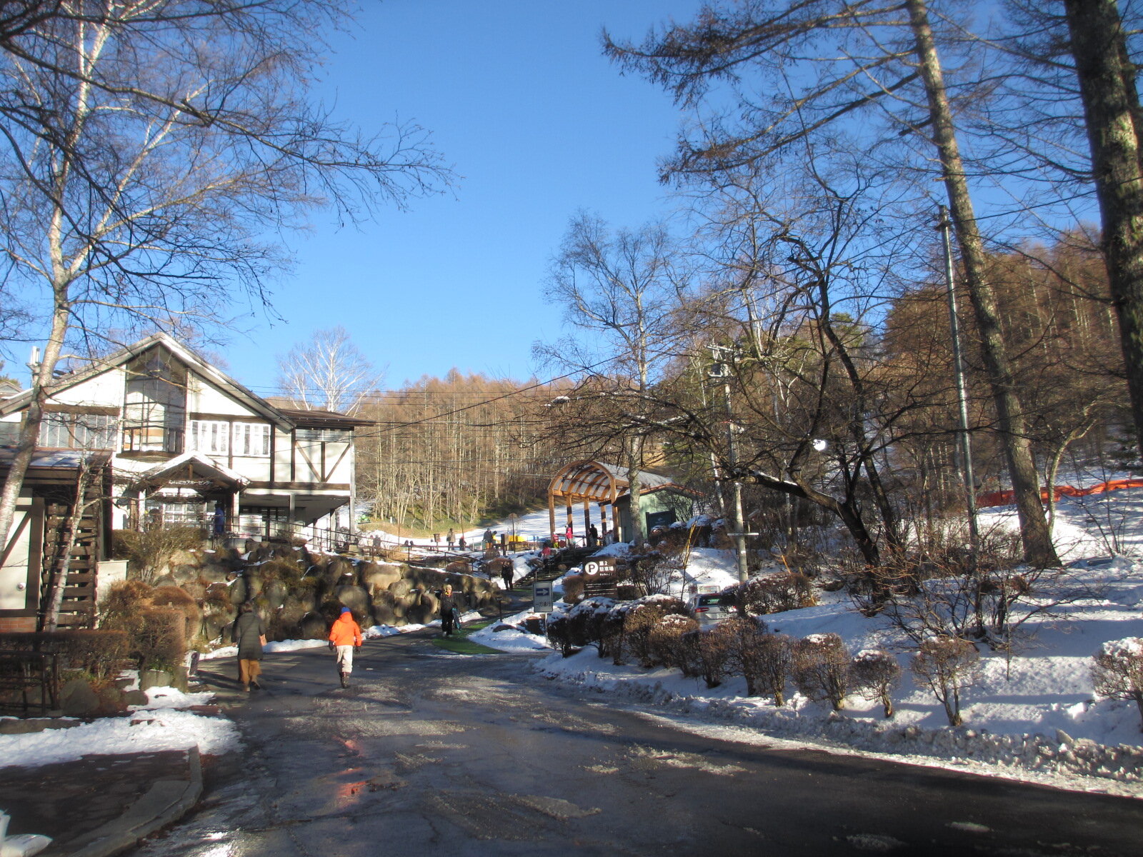 IMG_6040.JPG