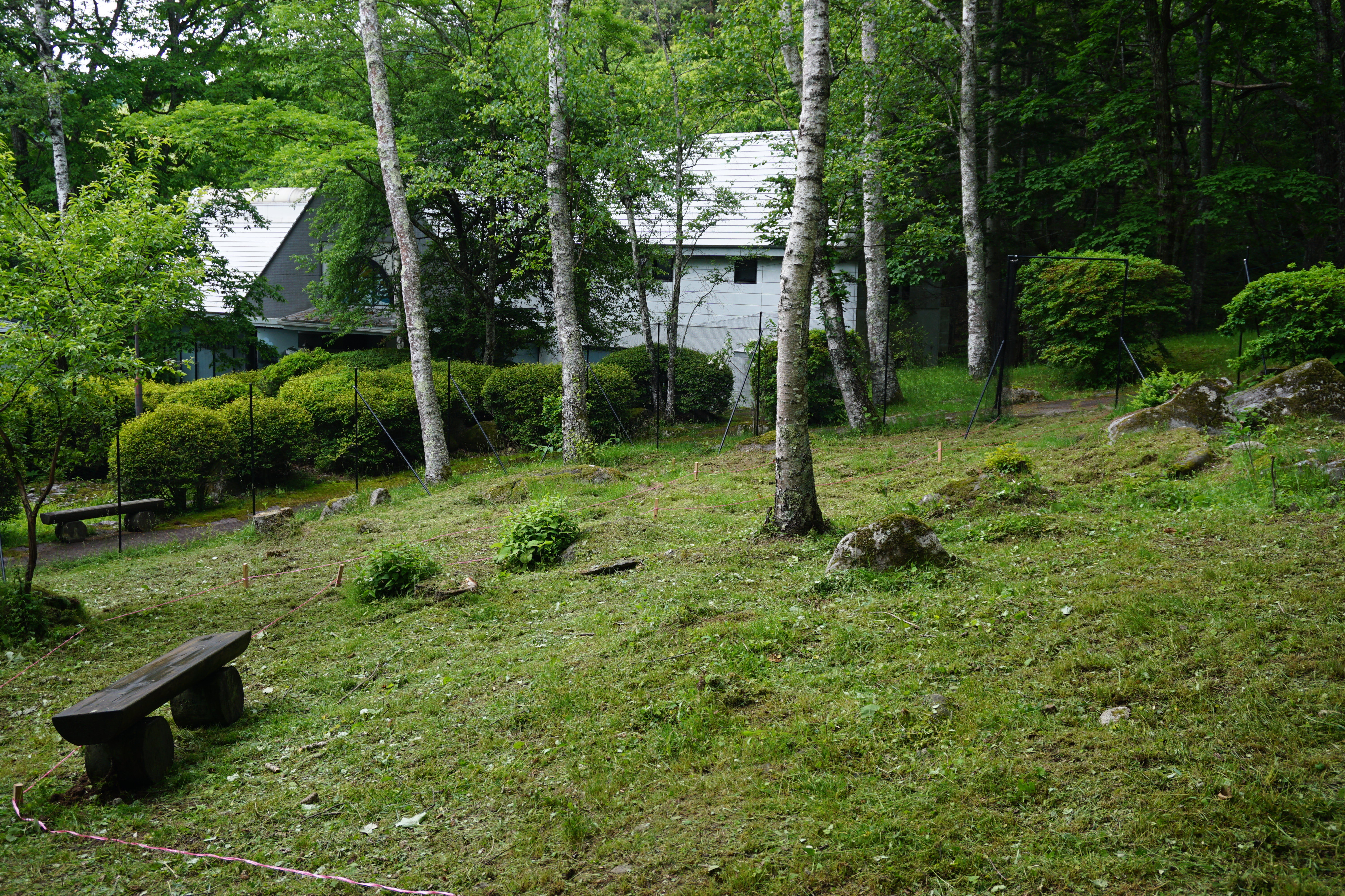 DSC01525.JPG