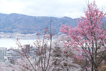 IMG-0522.JPG