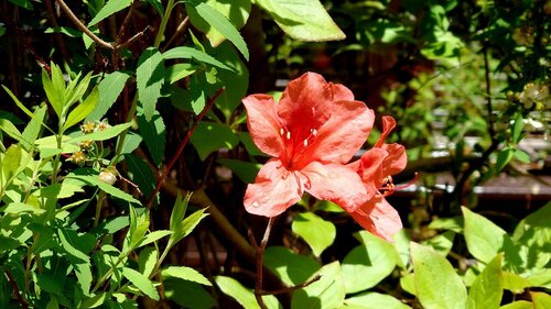 DSC_0570.jpg