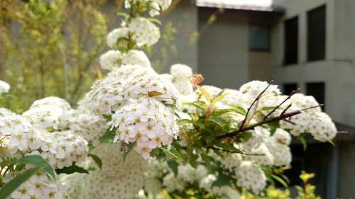 DSC_0620.png