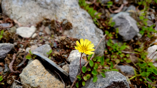 DSC_0624.png