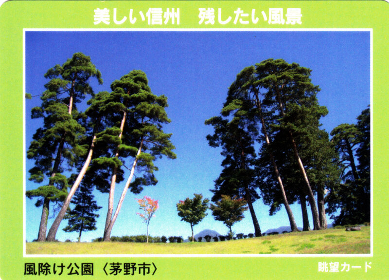 1.茅野市　風除け公園b.jpg