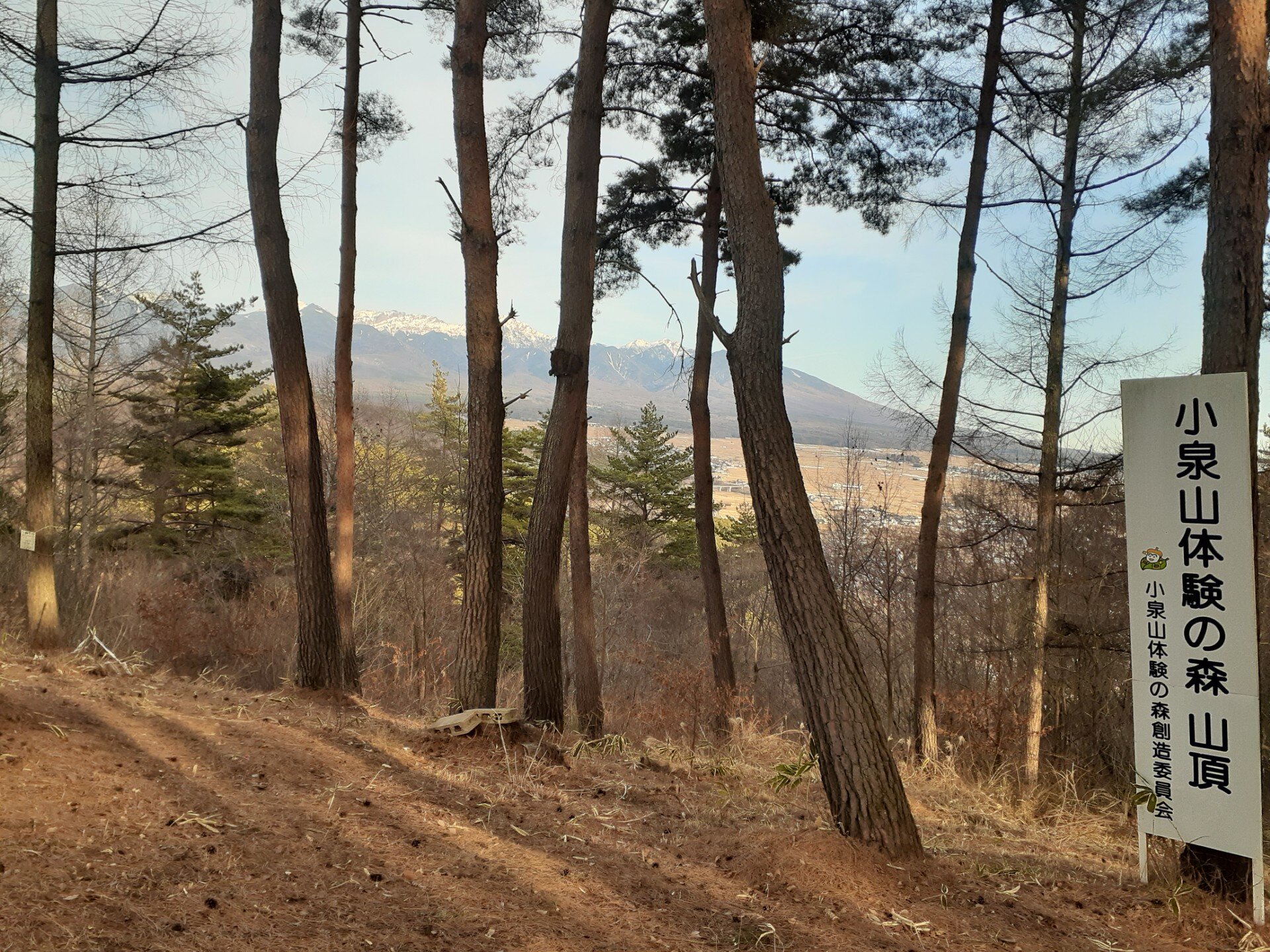 小泉山